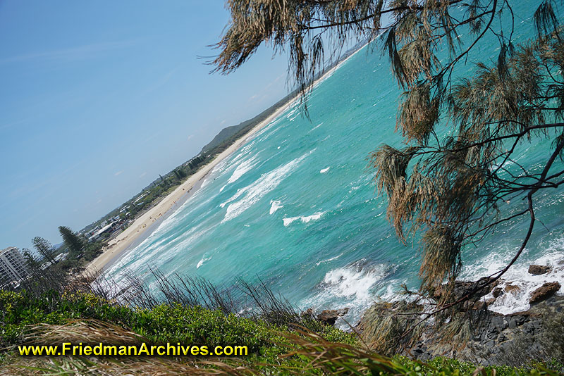 australia,beach,ocean,water,green,trees,beautiful,clean,angle,